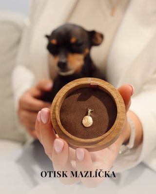 🐾 Otisk vašeho čtyřnohého parťáka ve zlatě. Každý čumáček má svůj příběh. Zachyťte ten váš do šperku, který přetrvá...